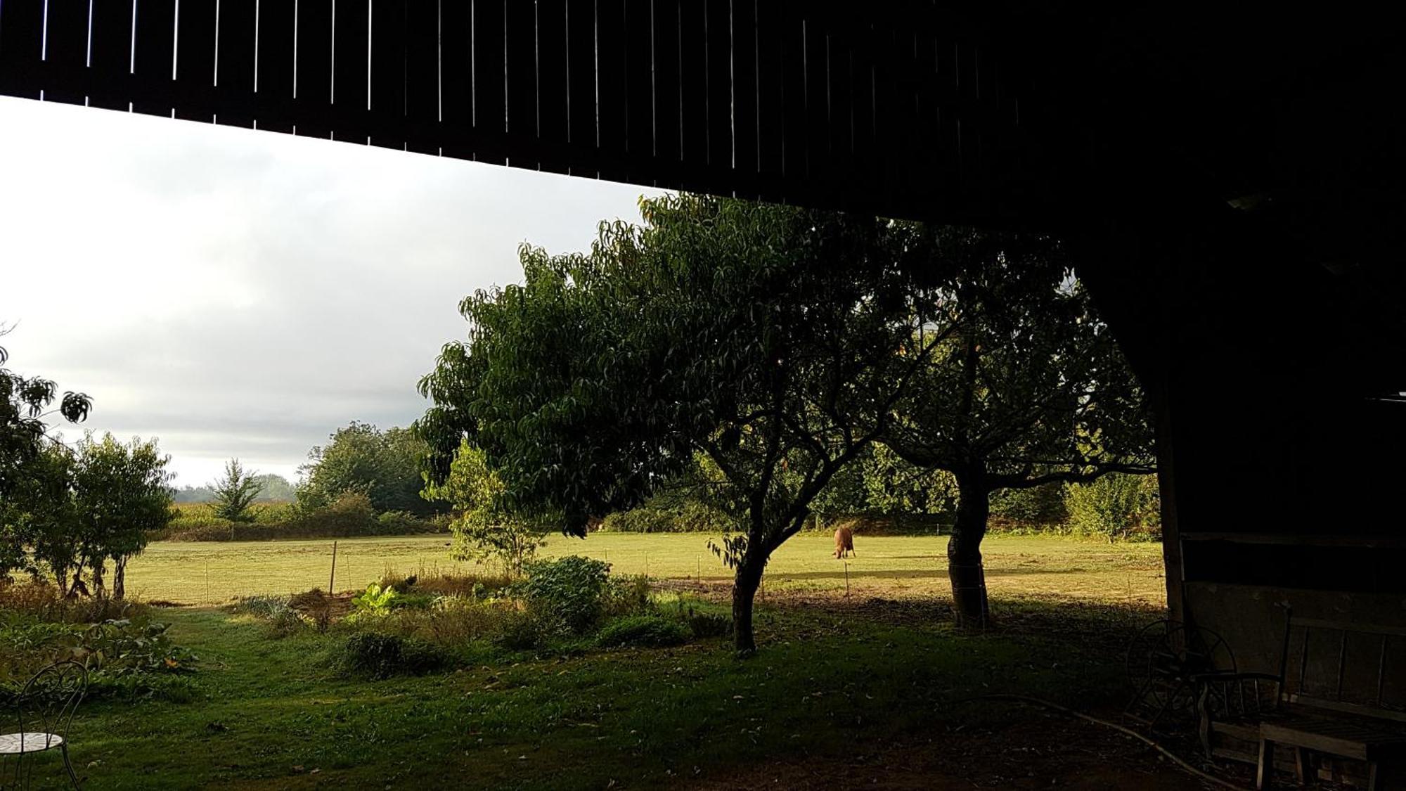 Hotel La Ferme De Kerhors Tréméoc Exteriér fotografie