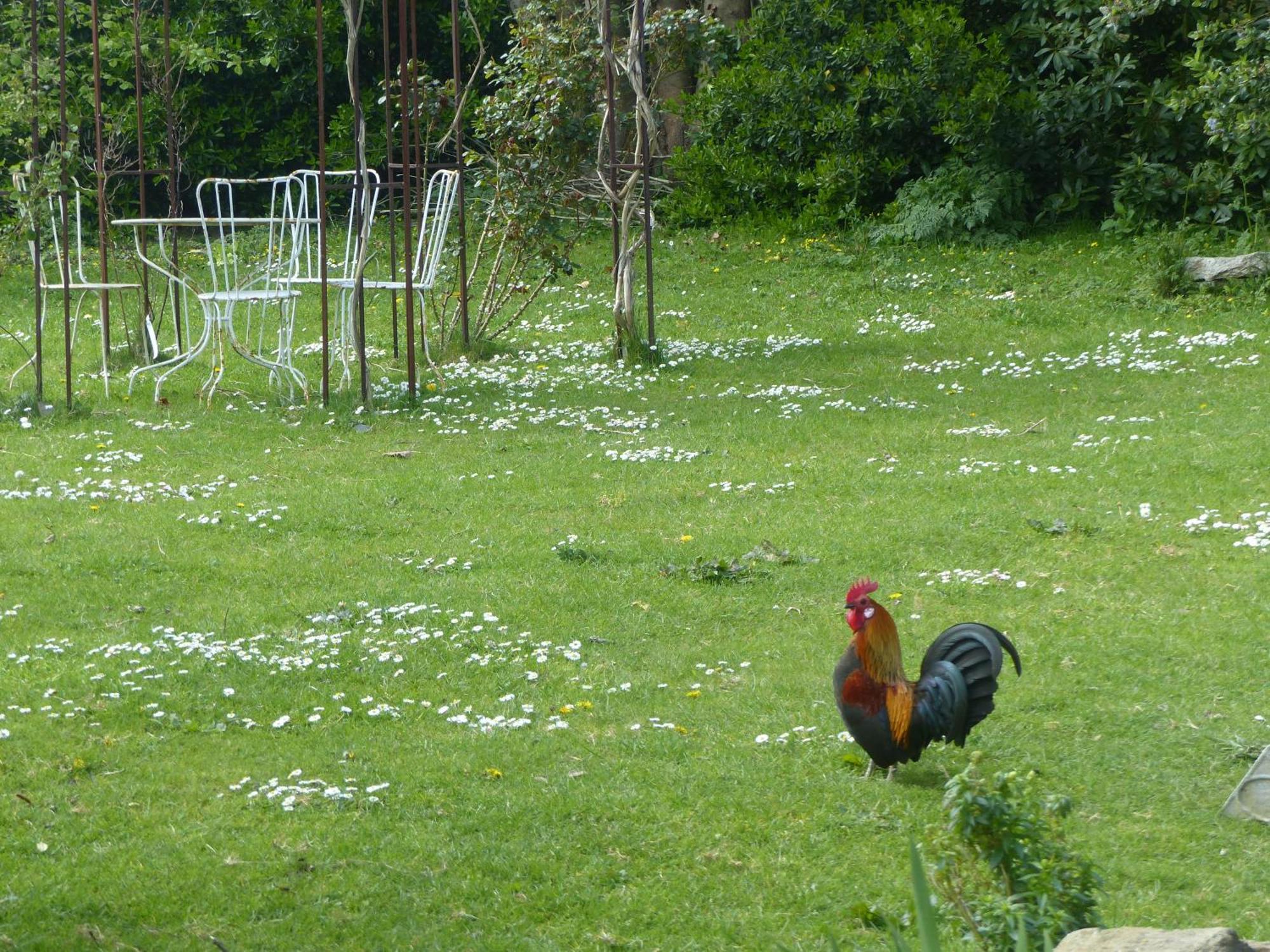 Hotel La Ferme De Kerhors Tréméoc Exteriér fotografie
